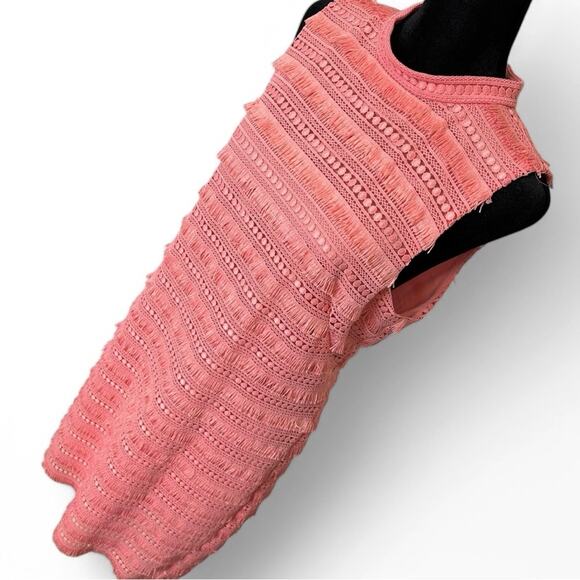 J. Crew Pink Embroidered Fringe Sheath Dress Summer Office Business Casual Sz 10 - Picture 5 of 14